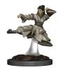 WizKids Karakterer^Human Female Monk (Wave 6) Icons of the Realms Premium Painted Miniatures Figur