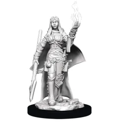 WizKids Karakterer^Human Female Oracle (Wave 11) Pathfinder Deep Cuts Unpainted Miniature Figur