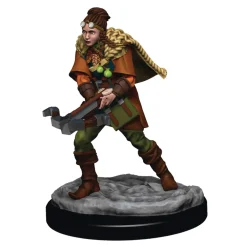 WizKids Human Female Ranger (Wave 5) Icons of the Realms Premium Painted Miniatures Figur* Karakterer