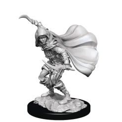 WizKids Human Female Rogue (Wave 14) Pathfinder Deep Cuts Unpainted Miniature Figur* Karakterer