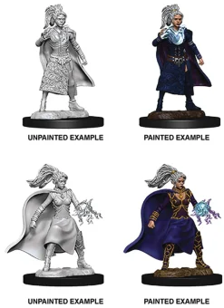 WizKids Karakterer^Human Female Sorcerer (Wave 10) Dungeons & Dragons Nolzurs Marvelous Unpainted Miniature Figur