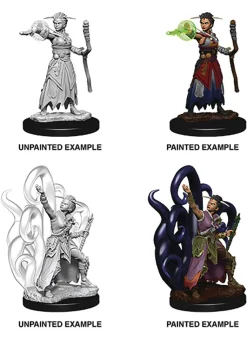 WizKids Human Female Warlock (Wave 10) Dungeons & Dragons Nolzurs Marvelous Unpainted Miniature Figur* Karakterer