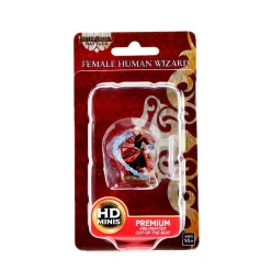 WizKids Human Female Wizard Pathfinder Battles Premium Painted Figure Figur* Karakterer