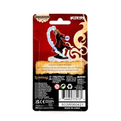 WizKids Human Female Wizard Pathfinder Battles Premium Painted Figure Figur* Karakterer