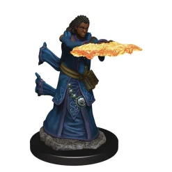 WizKids Karakterer^Human Female Wizard (Wave 5) Icons of the Realms Premium Painted Miniatures Figur