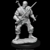 WizKids Human Male Bard (Wave 15) Dungeons & Dragons Nolzurs Marvelous Unpainted Miniature Figur* Karakterer