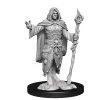 WizKids Karakterer^Human Male Druid (Wave 14) Dungeons & Dragons Nolzurs Marvelous Unpainted Miniature Figur