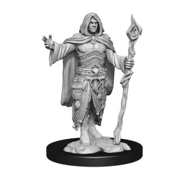 WizKids Karakterer^Human Male Druid (Wave 14) Dungeons & Dragons Nolzurs Marvelous Unpainted Miniature Figur