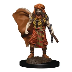 WizKids Karakterer^Human Male Druid (Wave 4) Icons of the Realms Premium Painted Miniatures Figur