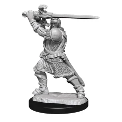 WizKids Human Male Paladin (Wave 14) Dungeons & Dragons Nolzurs Marvelous Unpainted Miniature Figur* Karakterer