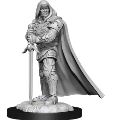 WizKids Human Male Paladin (Wave 13) Dungeons & Dragons Nolzurs Marvelous Unpainted Miniature Figur* Karakterer