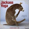 Willow Creek Press Jackass Yoga 2026 Wall Calendar* Kalendere