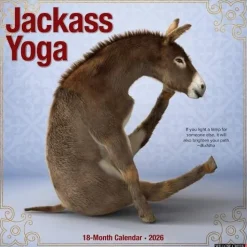 Willow Creek Press Jackass Yoga 2026 Wall Calendar* Kalendere