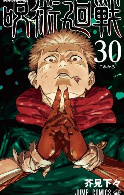 Gege Akutami Jujutsu Kaisen^Jujutsu Kaisen 30