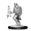 WizKids Karakterer^Kalashtar Female Cleric (Wave 14) Dungeons & Dragons Nolzurs Marvelous Unpainted Miniature Figur