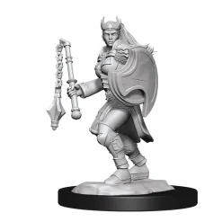 WizKids Karakterer^Kalashtar Female Cleric (Wave 14) Dungeons & Dragons Nolzurs Marvelous Unpainted Miniature Figur