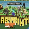 Labyrinth Minecraft* Barn