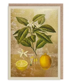 Kort, Bursdag & Anledning^Lemons Greeting Card