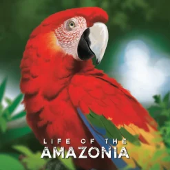 Jamie Bloom Strategi^Life of the Amazonia Kickstarter Edition