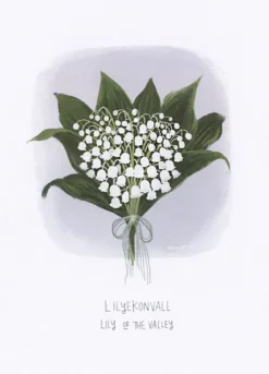 Liljekonvall kort A6* Kort, Bursdag & Anledning