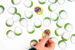 Takuma Horikawa Little Dragons* Barn