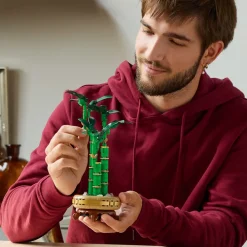 LEGO Botanical Lego^Lykkebambus (10344)