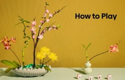 Nicole Wong Historie^Mahjong: House Rules from Across the Asian Diaspora