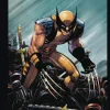 Various Samlebokser^Marvels Deadpool & Wolverine Illustrated Hist Box Set
