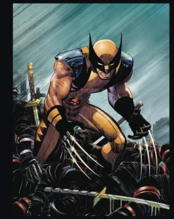 Various Samlebokser^Marvels Deadpool & Wolverine Illustrated Hist Box Set