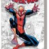 Paul Jenkins Marvel-Verse: Spider-Man* Spider-Man