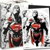 Matte Dual Superman Core Red /White Standard Size (100) Kortlommer, Dragon Shield* Kortlommer