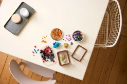 LEGO Ideas Lego^Mineralsamling (21362)