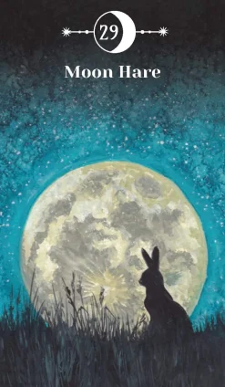 Marie Bruce Moon Magic Book & Card Deck: Includes a 50-Card Deck and a 128-Page Guide Book* Samlebokser