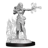 WizKids Karakterer^Multiclass Warlock / Sorcerer Female (Wave 13) Dungeons & Dragons Nolzurs Marvelous Unpainted Miniature Figur