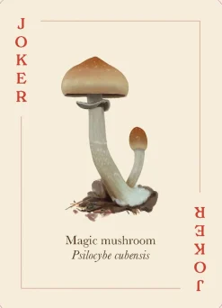 Marta Zafra Kortstokk|Klassikere^Mushrooms of the Wild: 54 playing cards