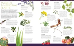 National Geographic Book of Magic and the Occult: A Visual History* Kropp, Sinn, & Sjel