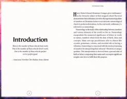 Sahar Huneidi-Palmer Numerology Book & Card Deck: Includes 52 cards and a 128-page illustrated book* Kropp, Sinn, & Sjel