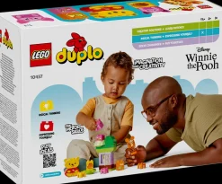 LEGO Duplo Lego^Ole Brumms bursdagsfest (10457)