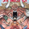 Eiichiro Oda One Piece, Vol. 48* One Piece