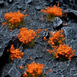 Gamers Grass Orange Flowers Wild* Basing & Modellering