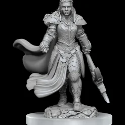 WizKids Karakterer^Orc Female Fighter (Wave 20) Dungeons & Dragons Nolzurs Marvelous Unpainted Miniature