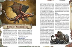 Paizo Publishing Regelbøker^Pathfinder Lost Omens Draconic Codex Special Edition (P2)