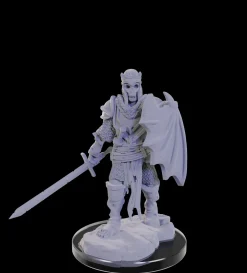 WizKids Monstere^Plague Zombie & Skeletal Champion (Wave 22) Pathfinder Deep Cuts Unpainted Miniature