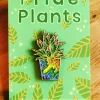 Buttons^Prideplant LGBTQA Flag