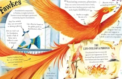 J. K. Rowling Professor Dumbledore* J. K. Rowling