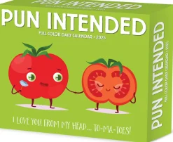 Willow Creek Press Pun Intended 2025  Box Calendar* Kalendere