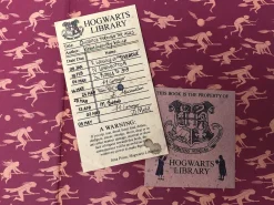 Emily Gravett Quidditch Through the Ages - Illustrated Edition: Deluxe Illustrated Edition* J. K. Rowling