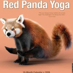 Willow Creek Press Kalendere^Red Panda Yoga 12 X 12 Wall Calendar
