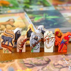 Rewild: South America Strategi^