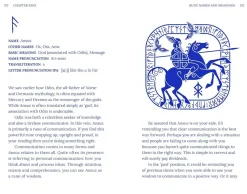 Andrew McKay Runes: Divine Symbols of Prophecy* Kropp, Sinn, & Sjel